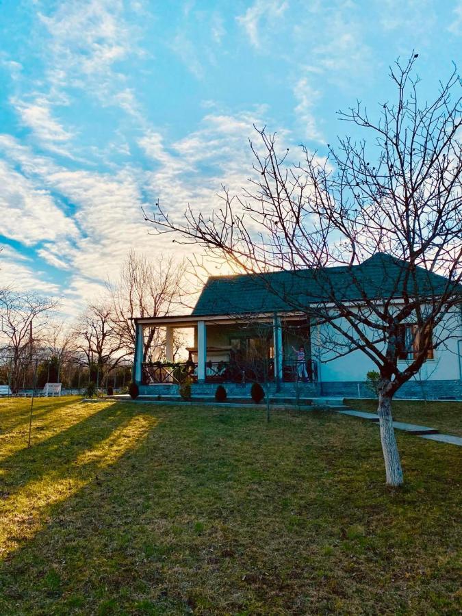 Villa Rokiti Dış mekan fotoğraf