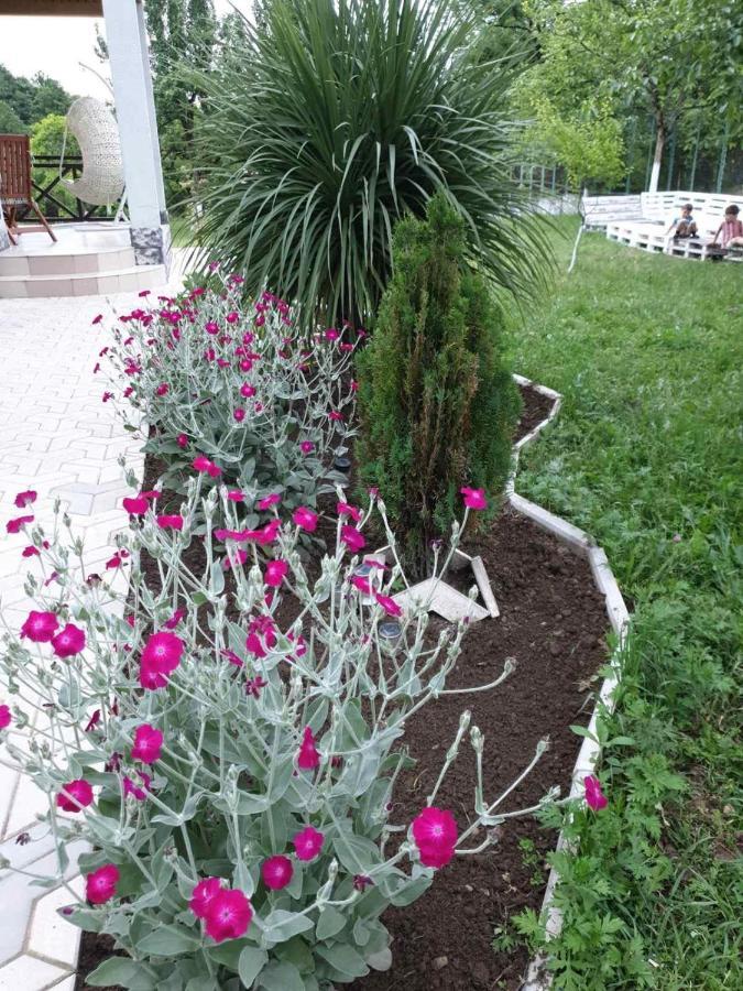 Villa Rokiti Dış mekan fotoğraf