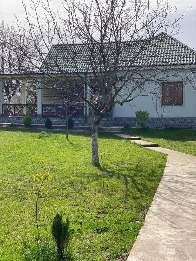 Villa Rokiti Dış mekan fotoğraf