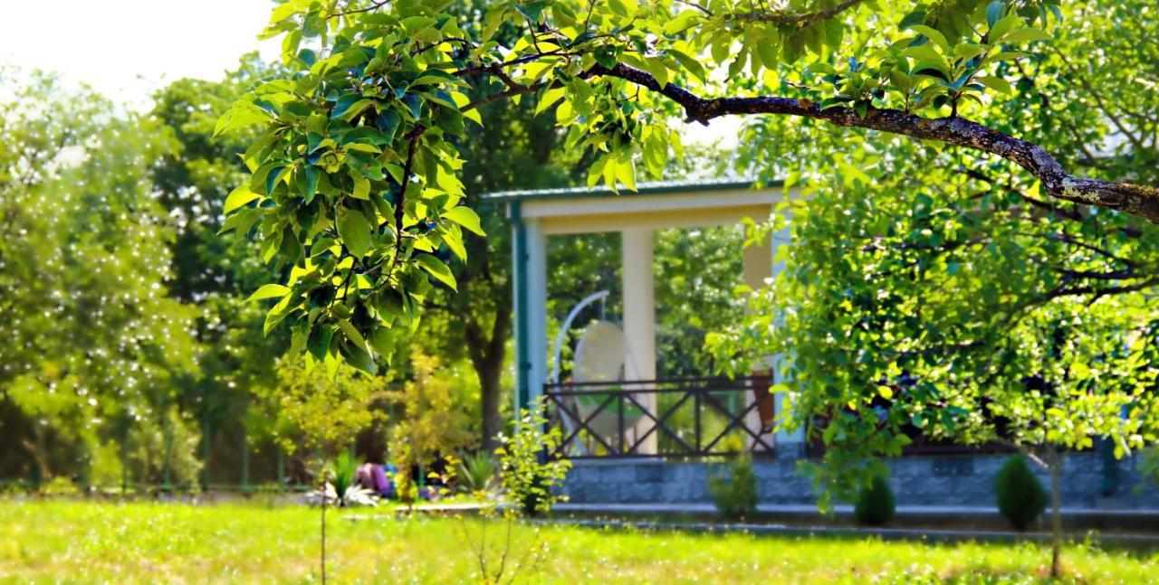 Villa Rokiti Dış mekan fotoğraf