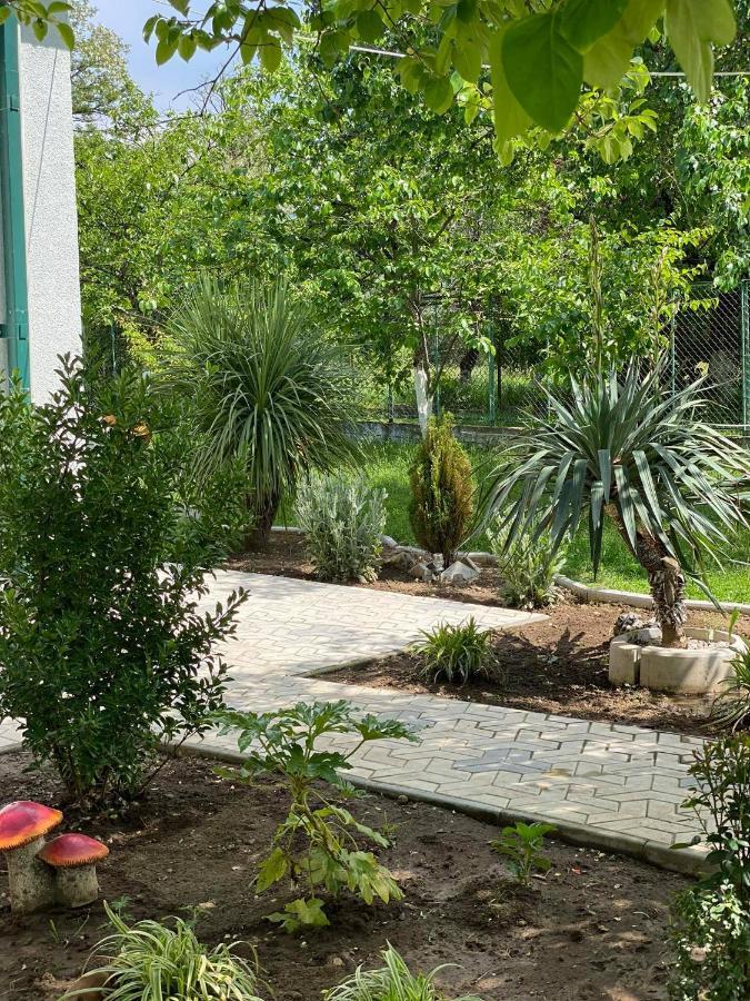 Villa Rokiti Dış mekan fotoğraf