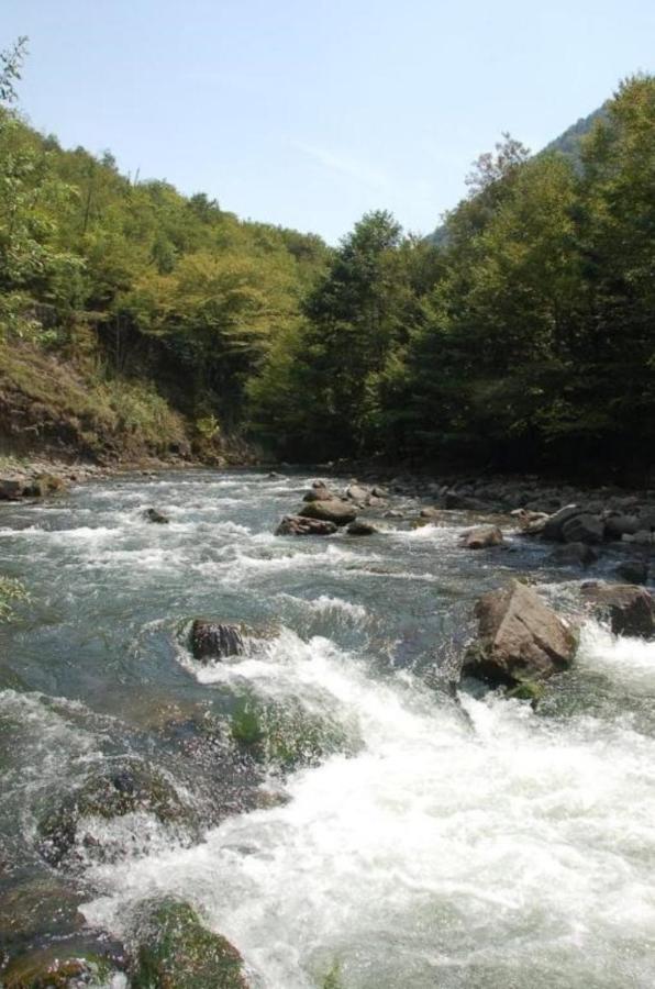 Villa Rokiti Dış mekan fotoğraf