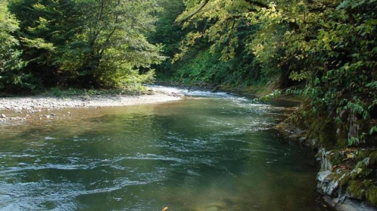 Villa Rokiti Dış mekan fotoğraf